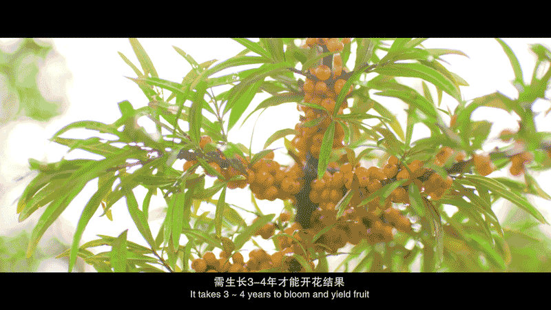 db7352e328644cc1a4957bb4d8af76cf.gif